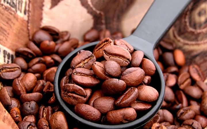 Edle kaffeebohne - Die preiswertesten Edle kaffeebohne ausführlich verglichen!
