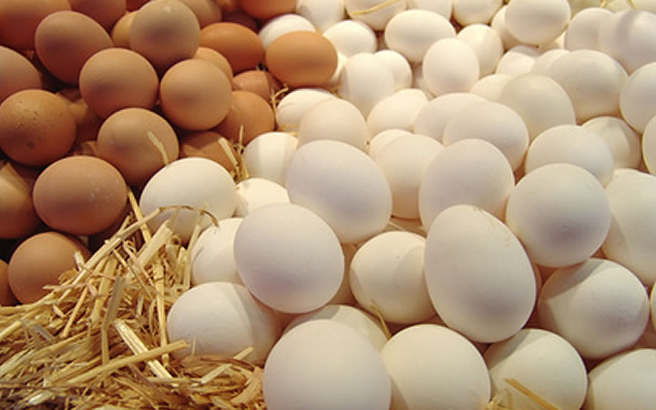 Kleine gesunde Kraftpakete – Eier sind besser als ihr Ruf