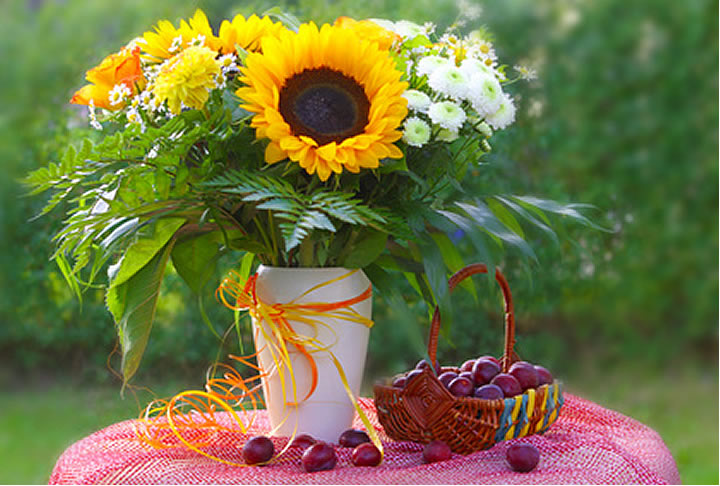Sonnenblume in Vase
