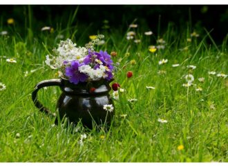 Dekoration mit Wildblumen: Ein Hauch von Wildnis in der Vase